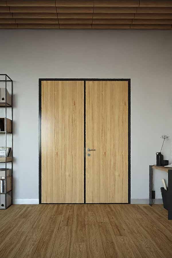 Фото Двери MAGIC LITE 45