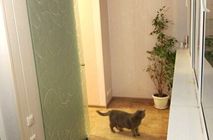 Стеклянные раздвижные двери в Тюмени  в частном интерьере